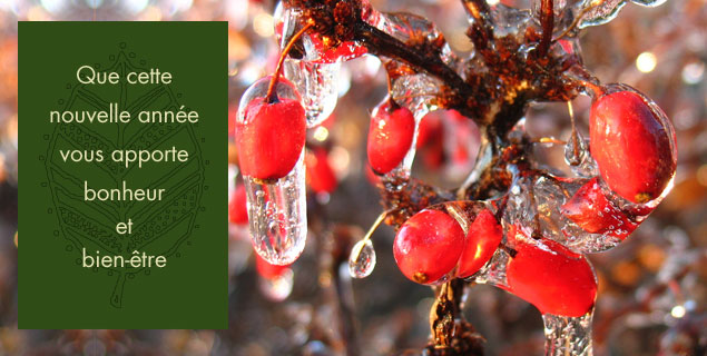 geste-jardinage-janvier1