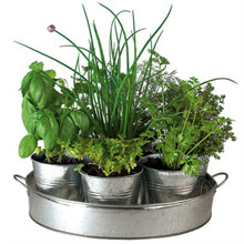 gestes-mars-potee-aromates