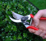 bien-tailler-outils-secateur