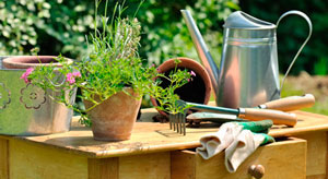 conseils-jardin-avril-semer-couper