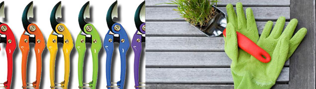 bien-tailler-arbuste-outils