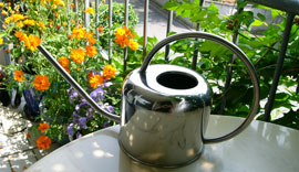 arrosage-facile-au-goulot1