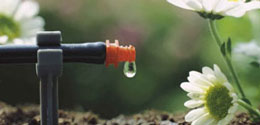 arrosage-facile-goutte-a-goutte