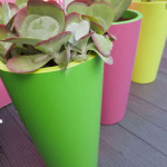 terrasse-a-l'est-pots-couleur