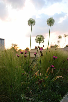 terrasse-plein-ouest-lumiere-couleur-soir