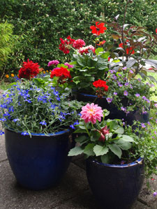 confort-au-jardin-plantes-en-pots