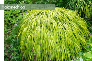 © MeganEHansen-Foter