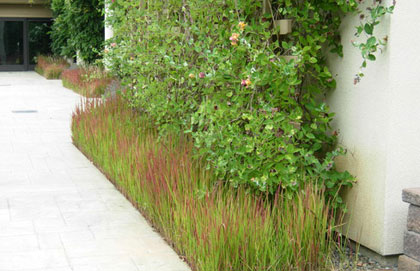 © Jamie Van De Vanter