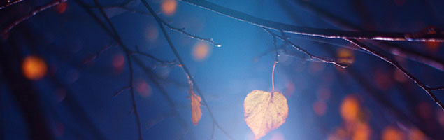 les couleurs de l'automne