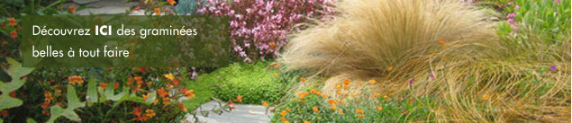 Jardin en novembre installez des graminées