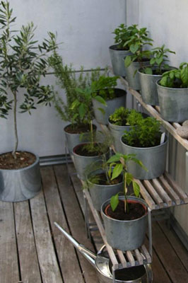 pots en zinc pour potager