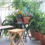 potager-au-balcon-patio