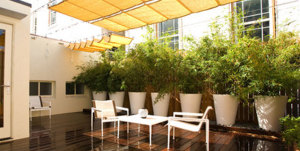 Des végétaux en pots