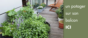 petit potager sur un balcon