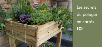 petit potager sur pied