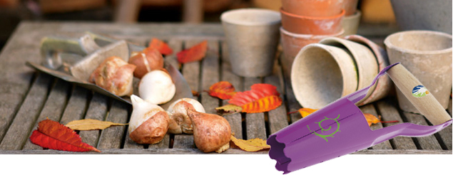 meilleures-tulipes-plantation-bulbes-plantoir