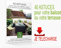 Télécharger le Guide 40 Astuces pour votre balcon ou votre terrasse