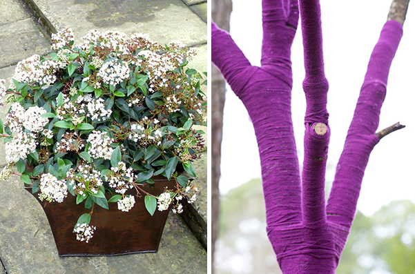Balcon et jardin de janvier potées décor