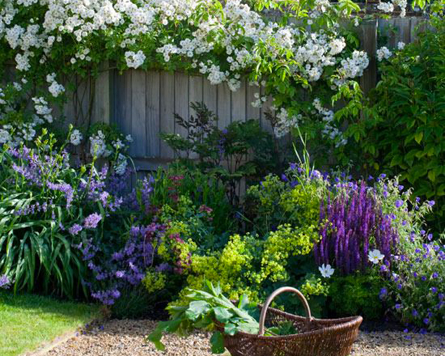 Printemps du jardin couv