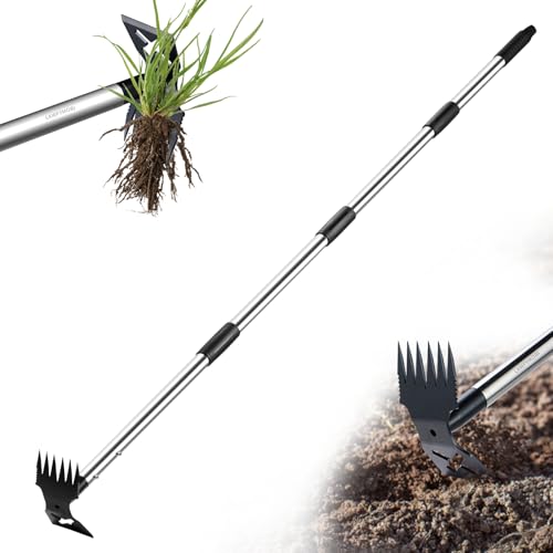 LAWFYMORI Extracteur de mauvaises herbes avec long manche de 150 cm, outil de jardinage manuel 2 en 1, râteau et binette de jardin, traction de désherbage robuste pour cour, pelouse, terrasse, jardin