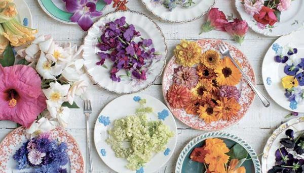 Fleurs comestibles, belles au jardin et sur la table !