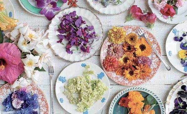 Fleurs comestibles, belles au jardin et sur la table !