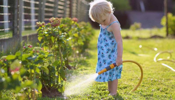 Quand arroser son jardin ?