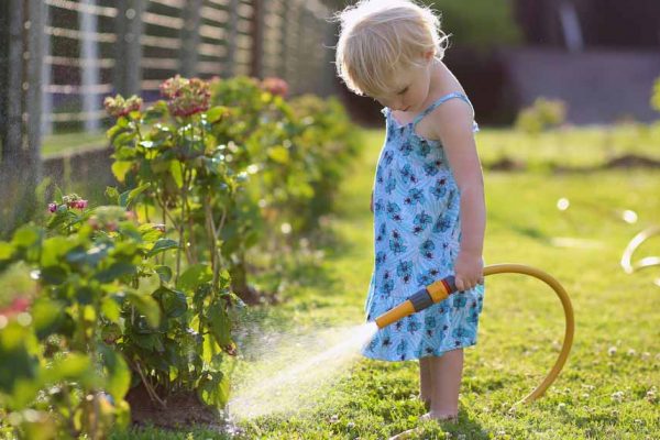 Quand arroser son jardin ?