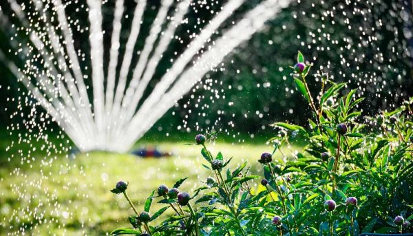 Préparer son jardin pour partir en vacances