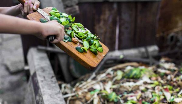 Que mettre dans son compost ?