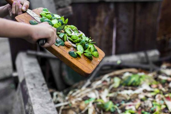 Que mettre dans son compost ?