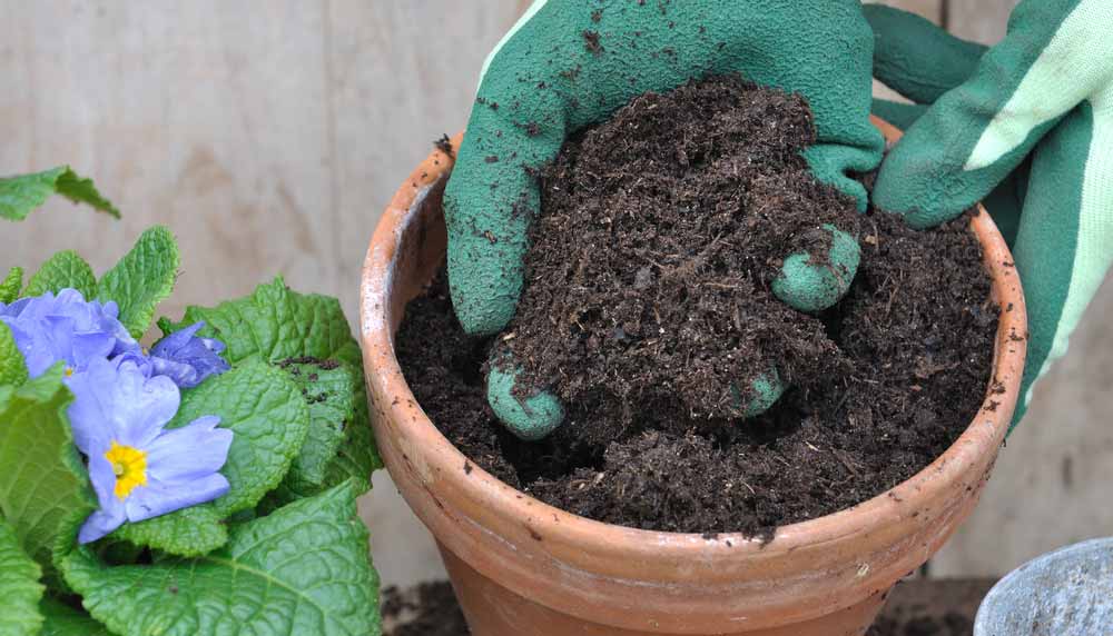 Quel terreau choisir les conseils mylittlejardin