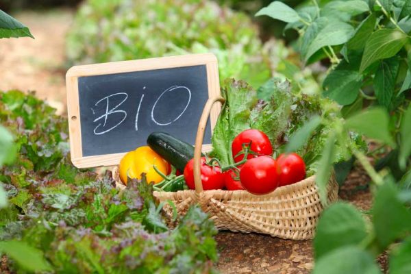 Pourquoi manger bio ? Les 4 principales raisons