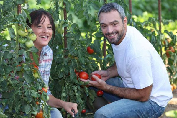 Économiser en jardinant : lier l’utile et l’agréable