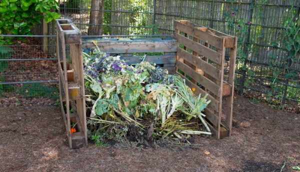 En tas, en surface ou lombricompost : quel compost choisir ?