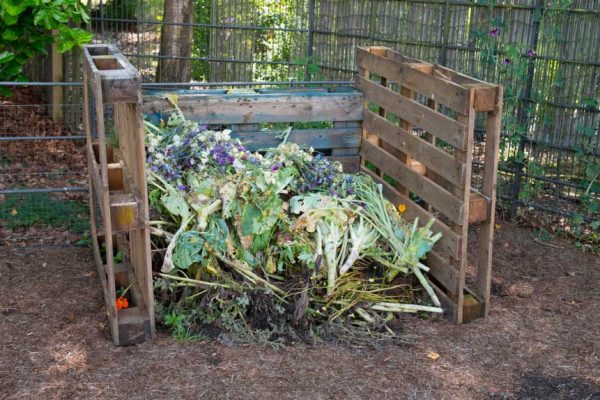 En tas, en surface ou lombricompost : quel compost choisir ?