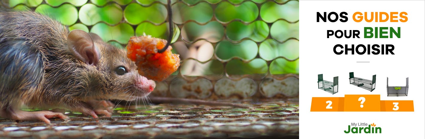 Piège À Animaux Cage À Martre Fouine Renard Capture Animal Vivant