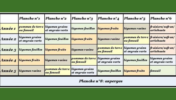 Exemple de plan de culture maraîchère