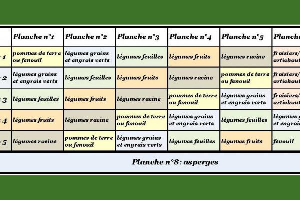 Exemple de plan de culture maraîchère