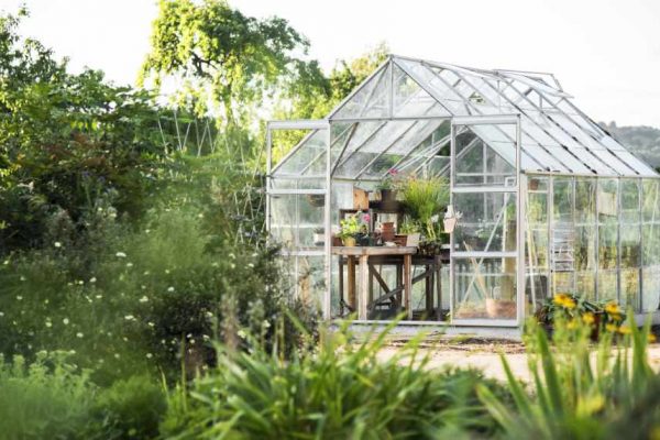 Comment aménager une petite serre de jardin ? Trucs et astuces