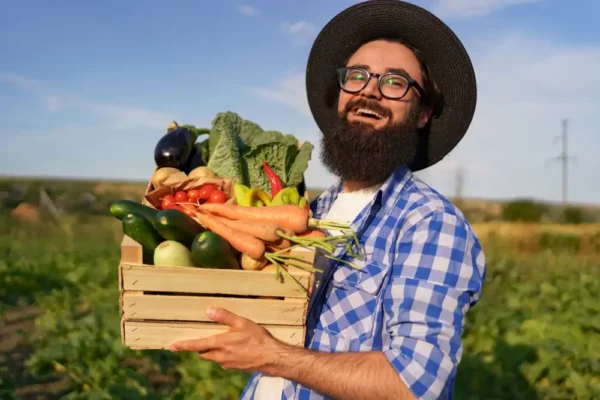 6 étapes pour réussir son jardin potager en permaculture