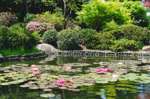 Jardin Feng Shui